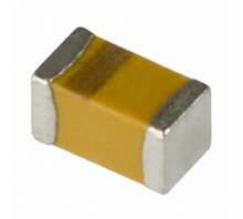 TLCL476M006XTA-Bild.
