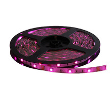 12V-NB-RGB-12M-Bild.
