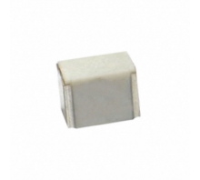 F161PU224K050V-Bild.