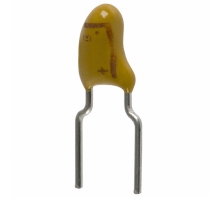 T356A104K050AT-Bild.
