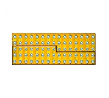 EPC2102-Bild.