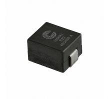 FP1006R1-R22-R-Bild.