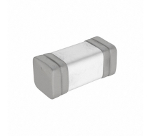 TR2/6125FF6.3-R-Bild.