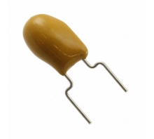 T354K106K050AS-Bild.