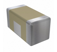 SBSPP1000102MXT-Bild.