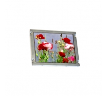 T-51750GD065J-LW-BGN-Bild.