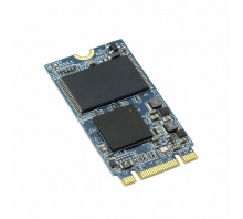APM2T42P100032GAN-2TM-Bild.