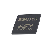 BGM11S22F256GA-V2-Bild.