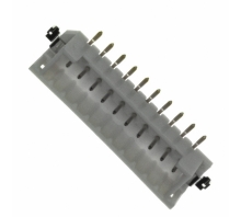 DF3DZ-10P-2V(50)-Bild.