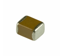 ECJ-4YB0J476M-Bild.