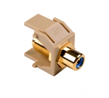 RCAFINSERTBL-I-Bild.