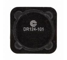 DR124-101-R-Bild.