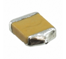 F950G337MTAAQ2-Bild.
