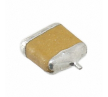 F951C226MTAAQ2-Bild.