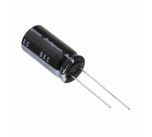 160BXC100MEFC12.5X25-Bild.
