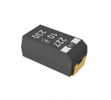 T502B106K016AG6210-Bild.