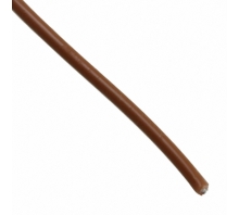 TMWSJ100-Bild.