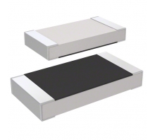 RC5025F84R5CS-Bild.