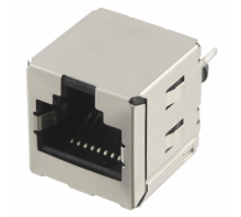 SMJ300-T88N-DS-01-Bild.