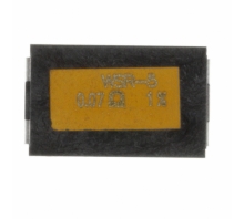 WSR5R0700FEA-Bild.