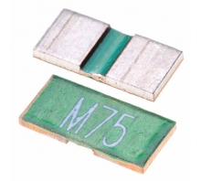 CSR1206-0R005F1-Bild.