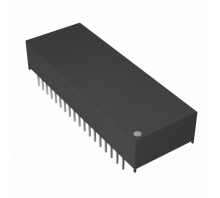 DS1265AB-100+-Bild.