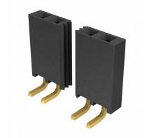 SSQ-110-02-G-S-RA-Bild.