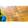 Südkoreanische PNT wird in das Chipglas -Substratgeschäft eintreten